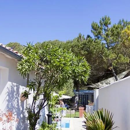 Restaurant & Plaisir Hotel 4*