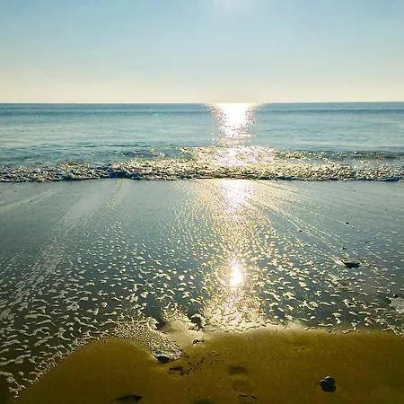 Restaurant & Plaisir 4*