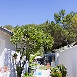 Restaurant & Plaisir Hotel 4*