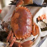 Restaurant & Plaisir 4*