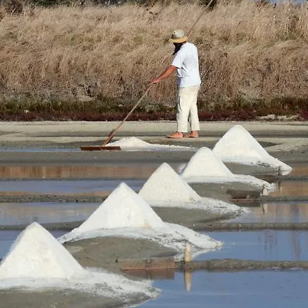 Restaurant & Plaisir Le Bois-Plage-en-Ré