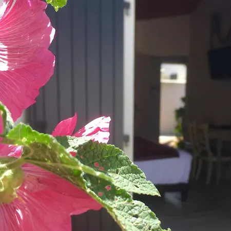 Hotel Restaurant & Plaisir 4*