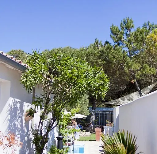 Restaurant&spa Plaisir Hotel 4*