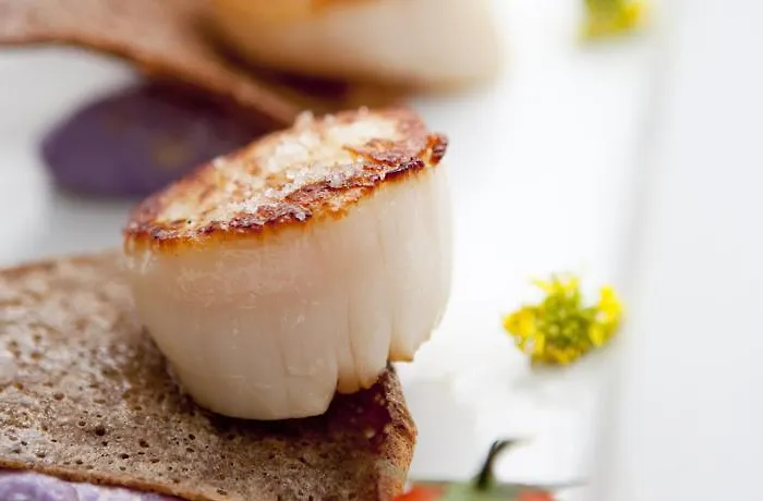 Restaurant&spa Plaisir 4*