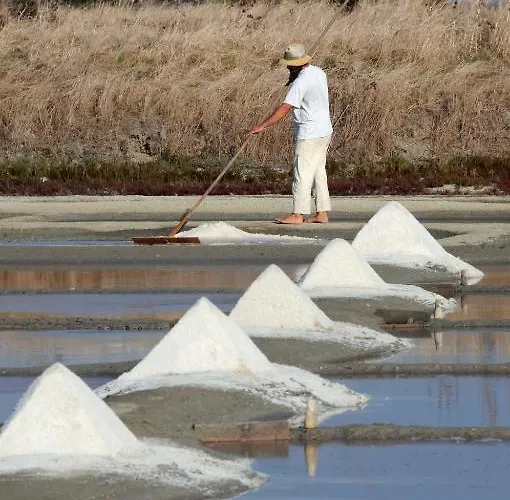 Restaurant&spa Plaisir Le Bois-Plage-en-Ré
